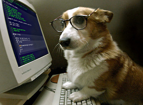 Pahomi coding